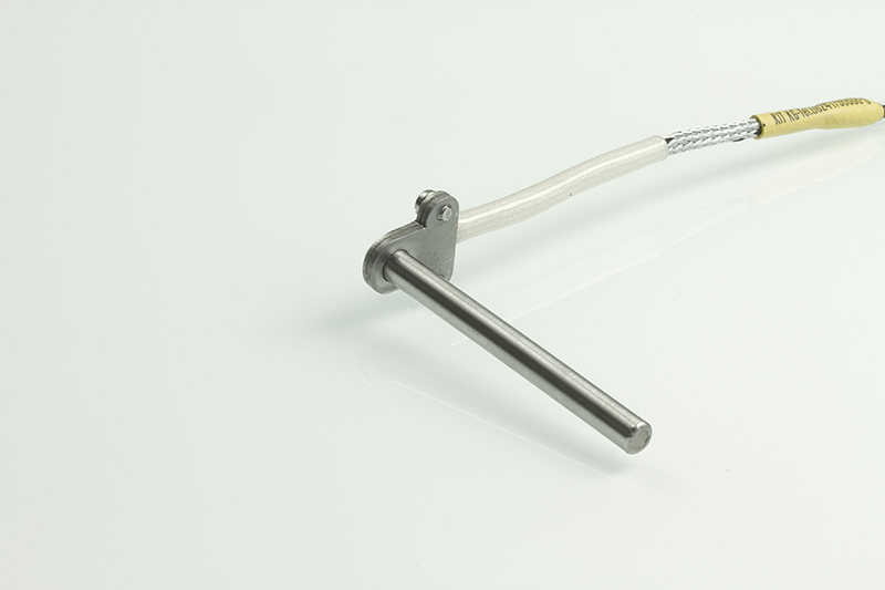 Temperatursensor TEF 1 - 60 mm - Boden verschweisst